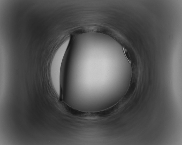 X0000083060601200703022135