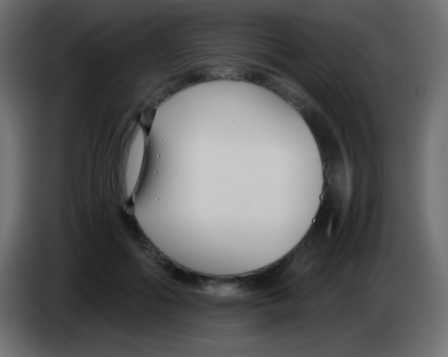 X0000083060602200703022135