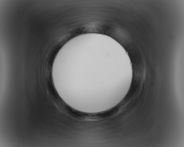 X0000083060603200703022135