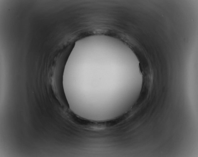 X0000083060604200703022135