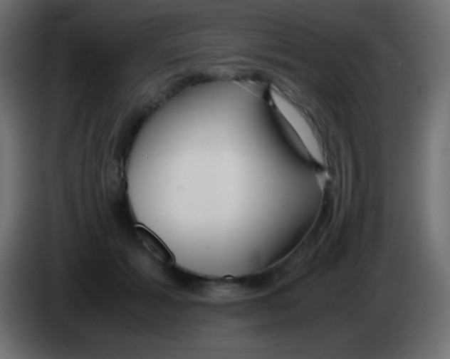 X0000083060605200703022135