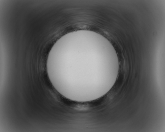 X0000083060606200703022135