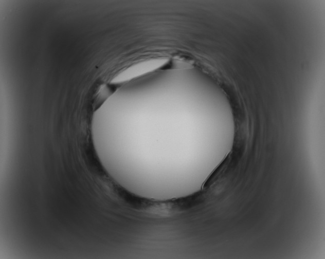 X0000083060609200703022135