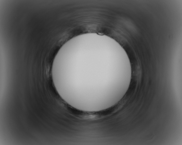 X0000083060610200703022135