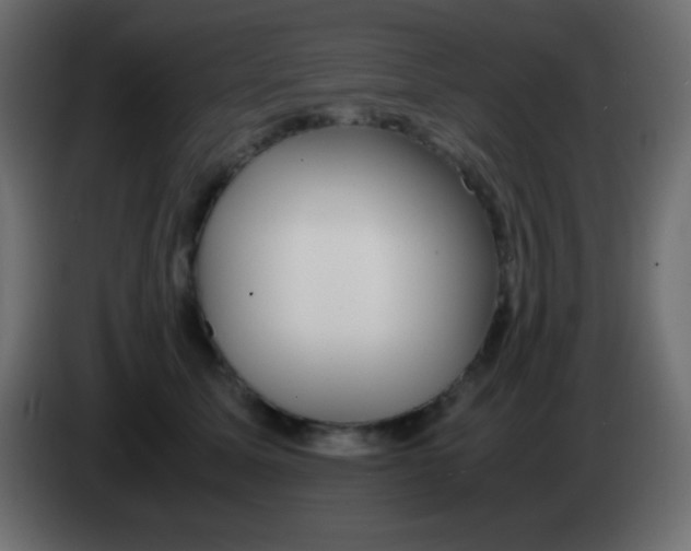 X0000083060611200703022135