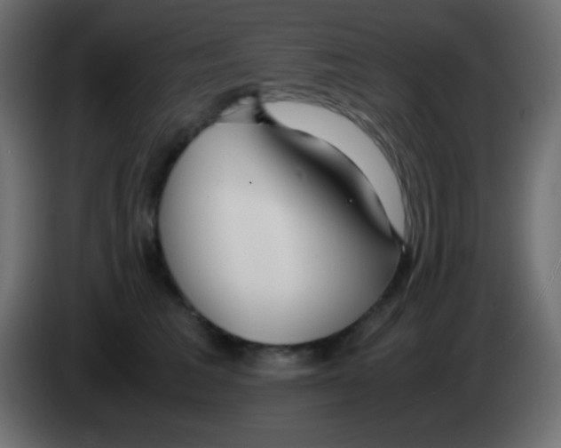 X0000083060613200703022135