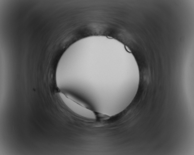 X0000083060615200703022135