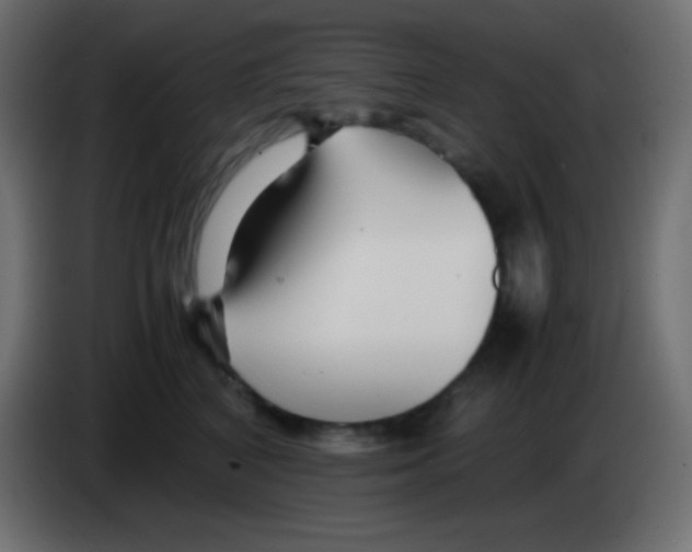 X0000083060616200703022135