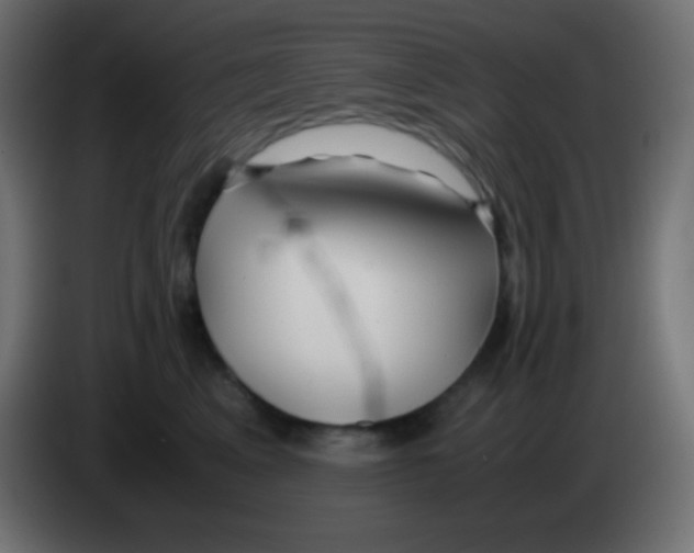 X0000083060617200703022135