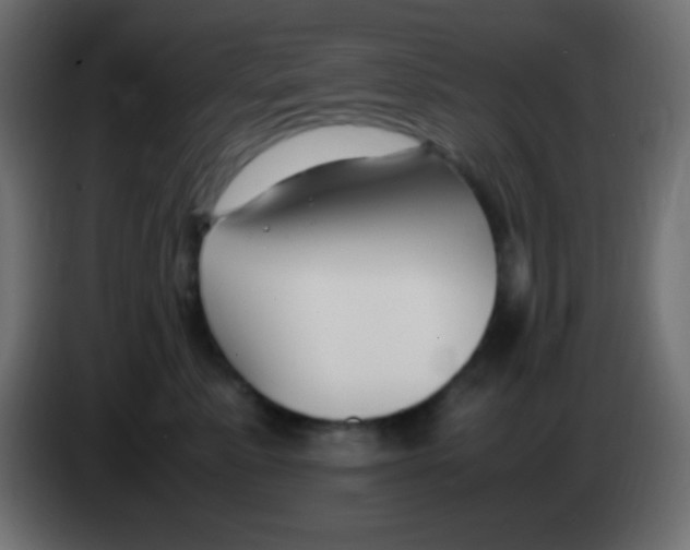 X0000083060619200703022135