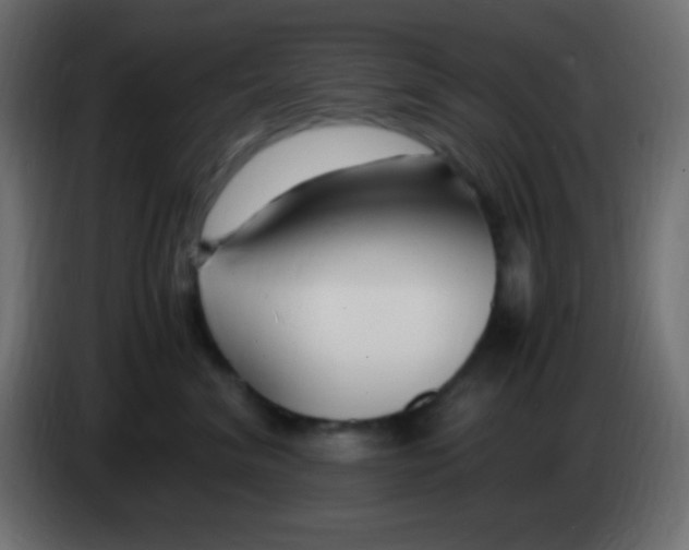 X0000083060620200703022135