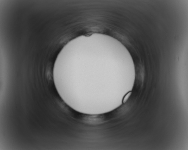 X0000083060622200703022135