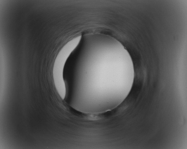 X0000083060623200703022135