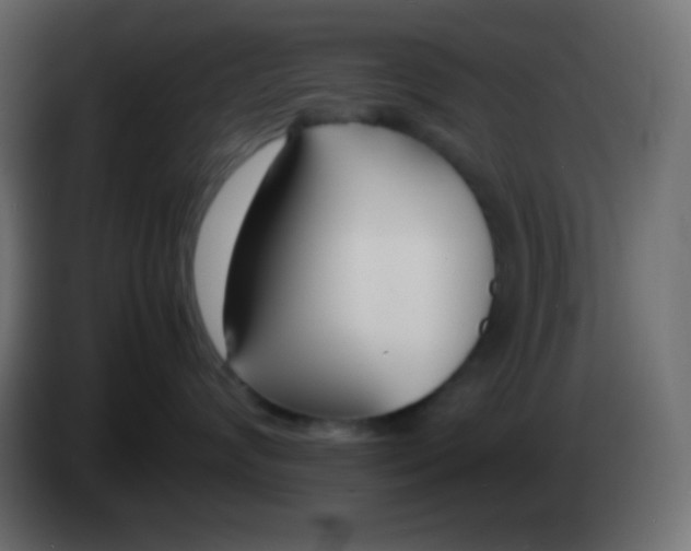 X0000083060624200703022135