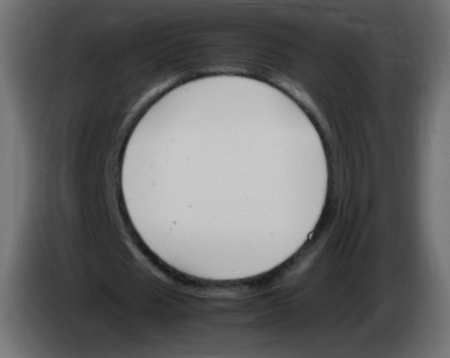 X0000083060625200703022134