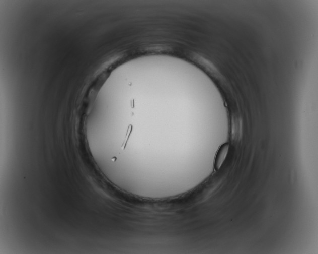 X0000083060627200703022134