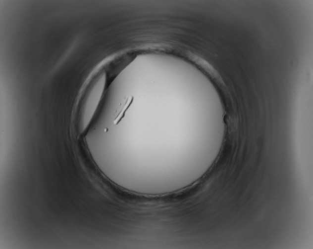 X0000083060628200703022134