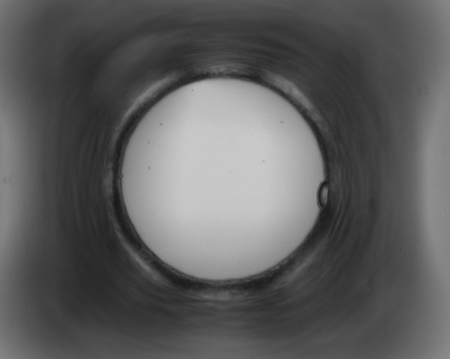 X0000083060629200703022134