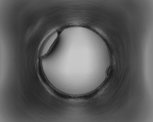 X0000083060630200703022134