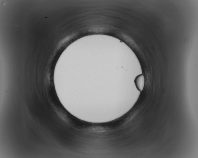 X0000083060636200703022134