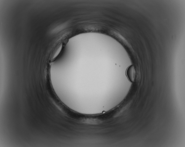 X0000083060637200703022134