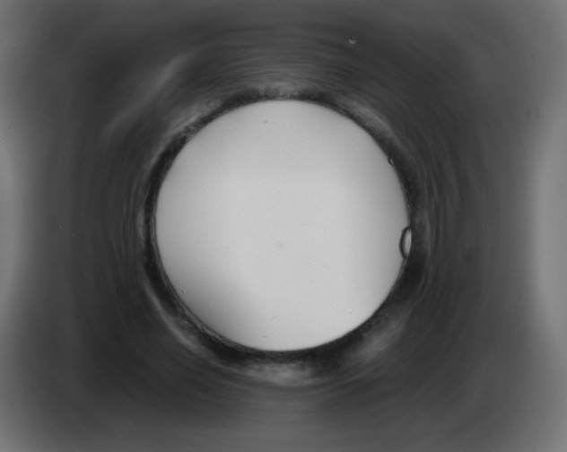 X0000083060638200703022134