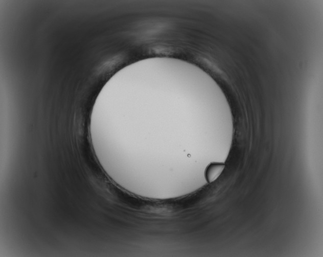 X0000083060639200703022134