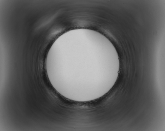 X0000083060640200703022134