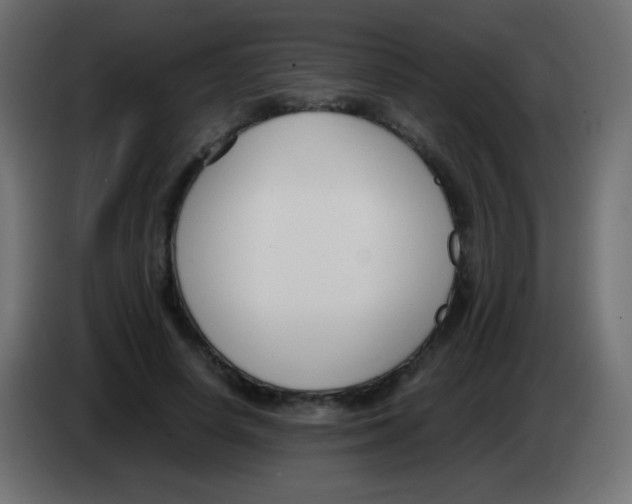 X0000083060642200703022134