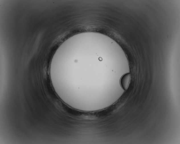 X0000083060644200703022134