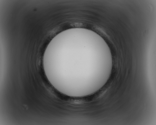 X0000083060645200703022134