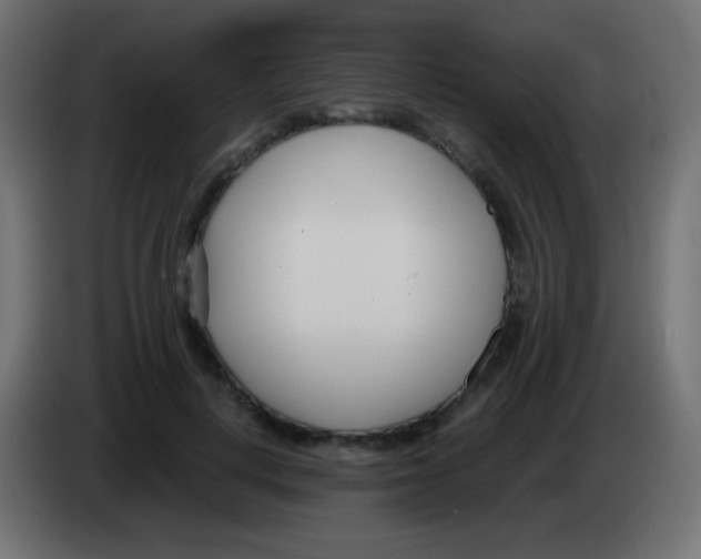 X0000083060648200703022134