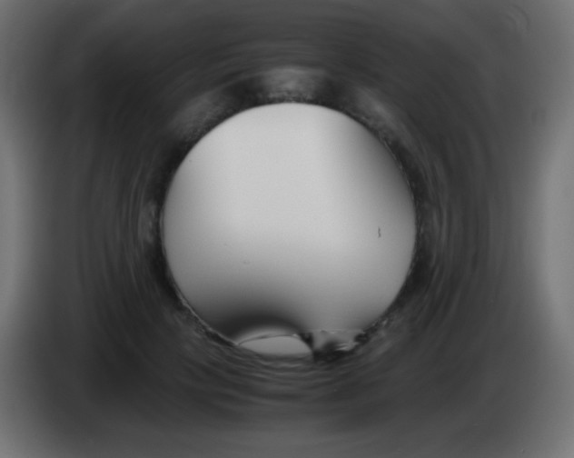 X0000083060649200703022134