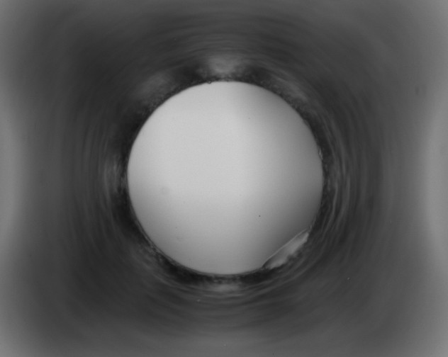 X0000083060651200703022134