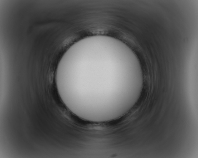 X0000083060652200703022134