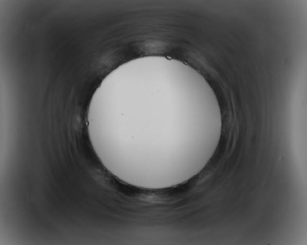 X0000083060655200703022135