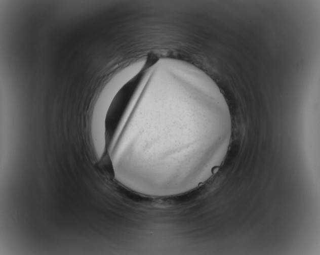 X0000083060656200703022135