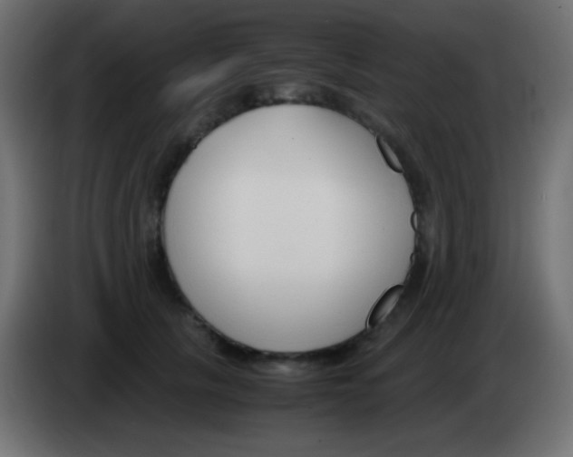 X0000083060657200703022135