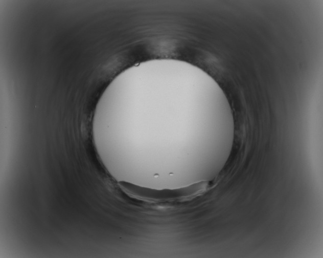 X0000083060658200703022135