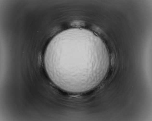 X0000083060659200703022135