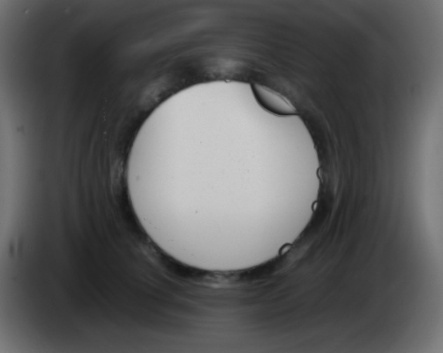 X0000083060660200703022135