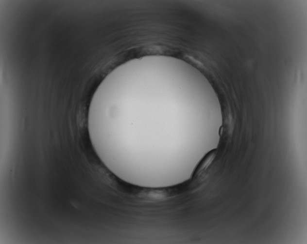 X0000083060665200703022135