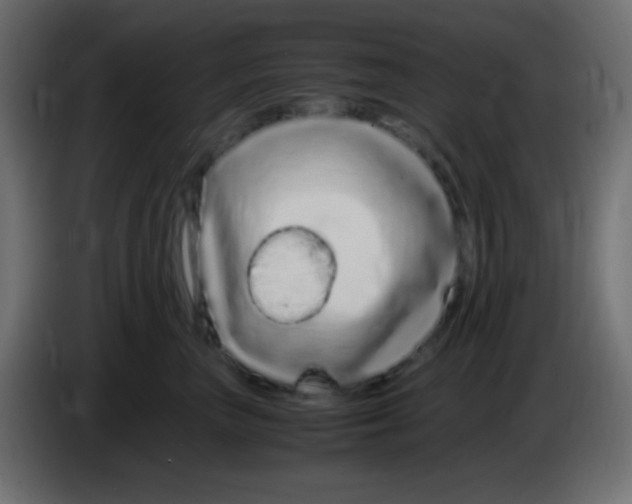 X0000083060667200703022135