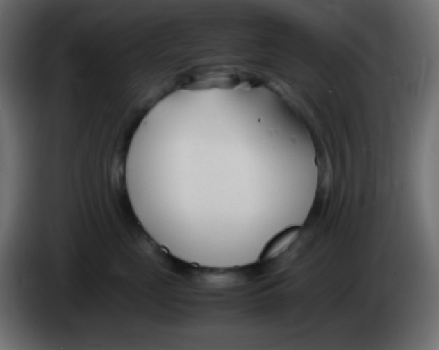 X0000083060669200703022135