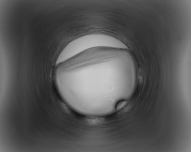 X0000083060670200703022135