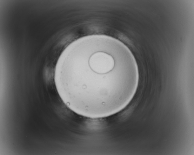 X0000083060672200703022135