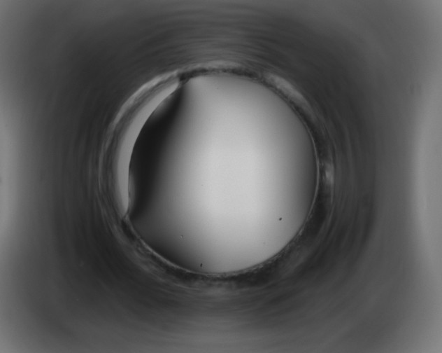 X0000083060676200703022134