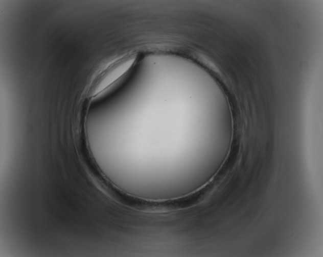 X0000083060677200703022134