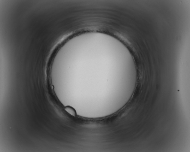 X0000083060678200703022134