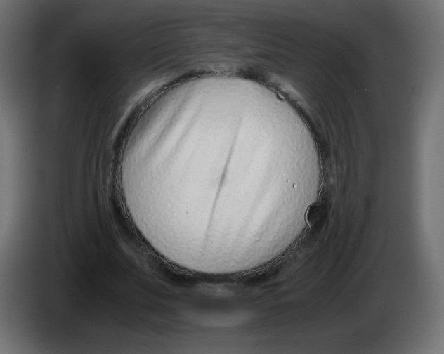 X0000083060679200703022134